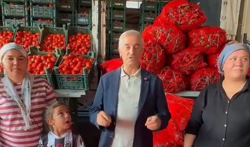 Tahmazoğlu'ndan Müjde! Satışlar Başladı
