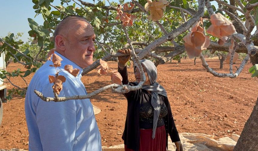 Fıstık İthalatı Gaziantep Çiftçisine İhanettir