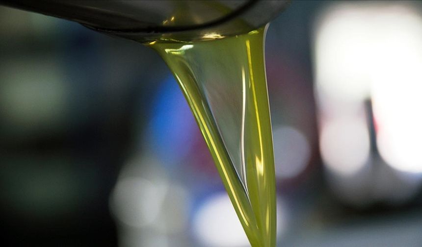 Sağlığınızı Destekleyecek 6 Faydalı Yağ