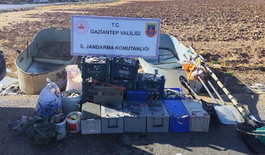 Gaziantep’te Suçüstü! Yasak Ağla 400 Kilo Balık Ele Geçirildi