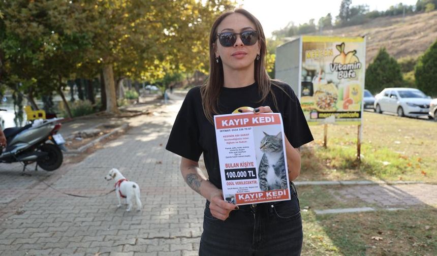 Kayıp Kediye Rekor Ödül