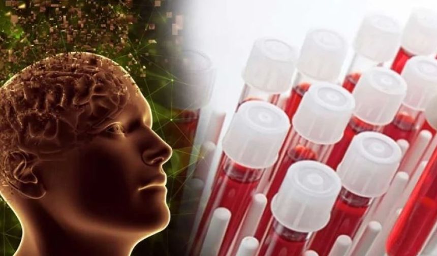 Kan Grubunuz Zekânızı Ele Veriyor Olabilir mi?