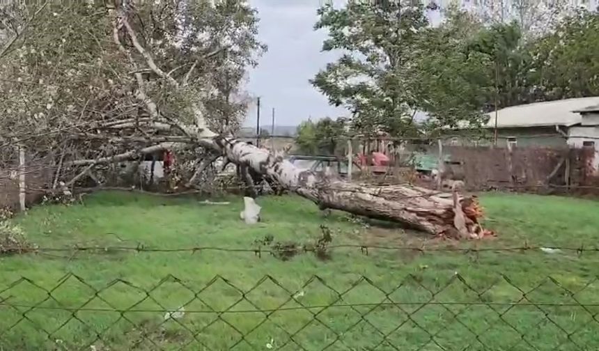Şiddetli Rüzgar Hasara Yol Açtı