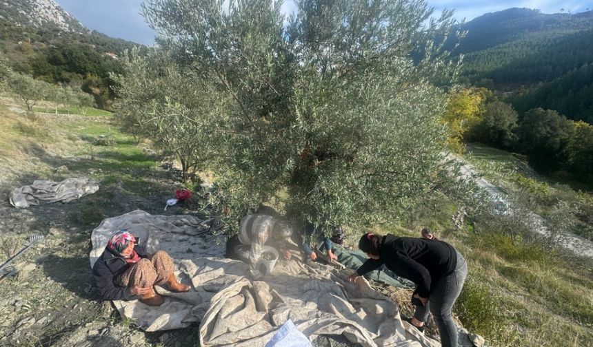 Çocuk Yaşta Başladı, Hiç Bırakmadı