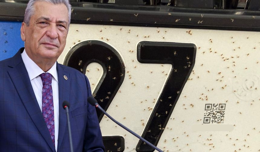 Öztürkmen, Üvez İstilasını Meclis’e Taşıdı: Belediyeler Geç kaldı