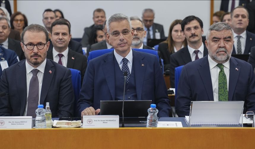 Kuduz ve Maymun Çiçeği Aşılarında Yerli Başarı