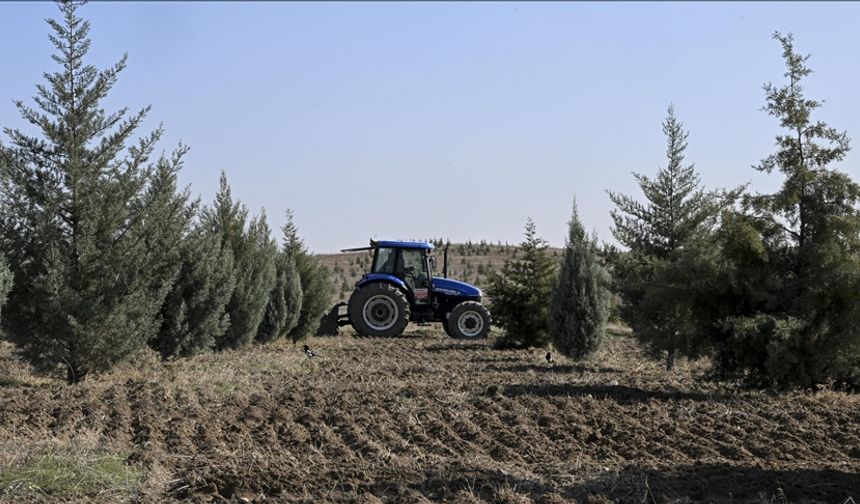 6 Yılda Değişen Manzara: Seferberlik Meyvesini Verdi
