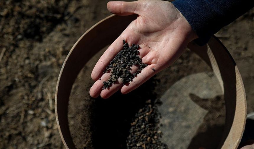 Tunç Çağı’ndan Günümüze Tarımın İzleri Ortaya Çıktı