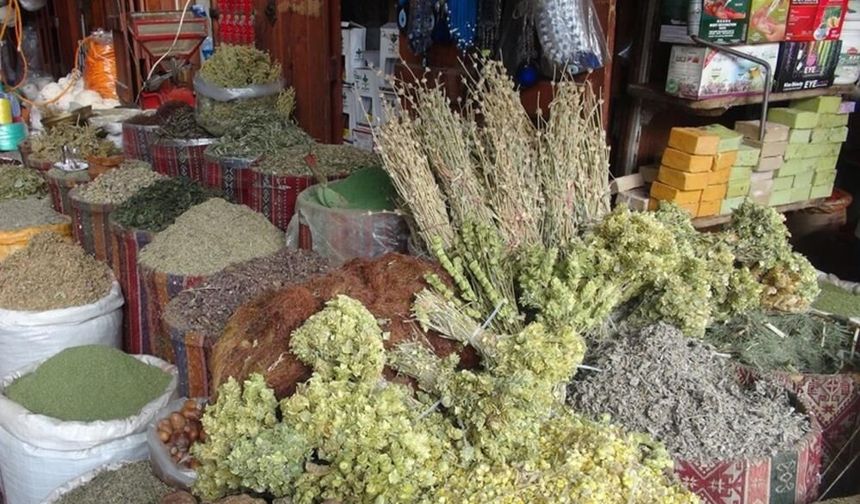 Gaziantep'te Yaz Gribi Aktarlara Talebi Patlattı