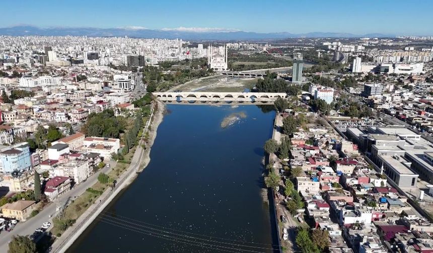 Su Akışı Kesilince Balıklar Telef Oldu