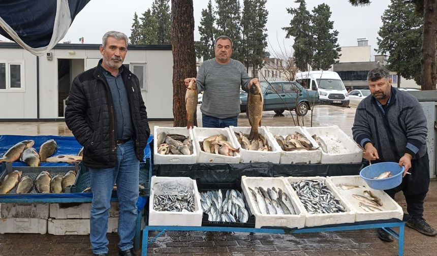 Soğuklar Bastırdı, Gaziantep'te Balığa İlgi Arttı