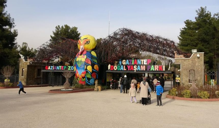 Gaziantep Hayvanat Bahçesi Dolup Taştı