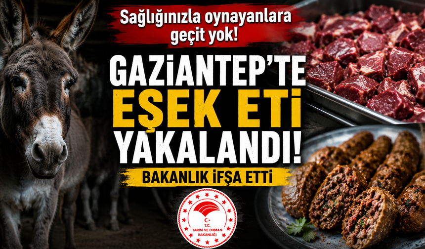 Gaziantep'te Eşek Eti Şoku