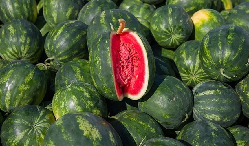 Vurup Seçme Dönemi Bitti: Karpuzun İyisi Nasıl Anlaşılır?