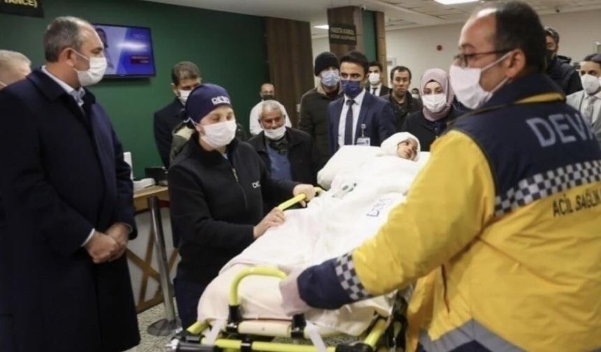 Köpekler “silah” sayıldı