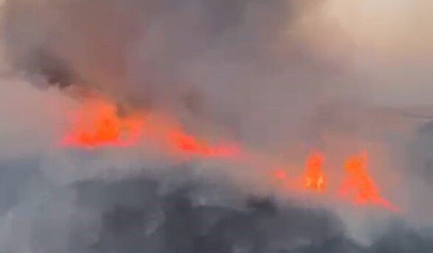 Oğuzeli'nde Buğday Tarlası Alevlere Teslim Oldu