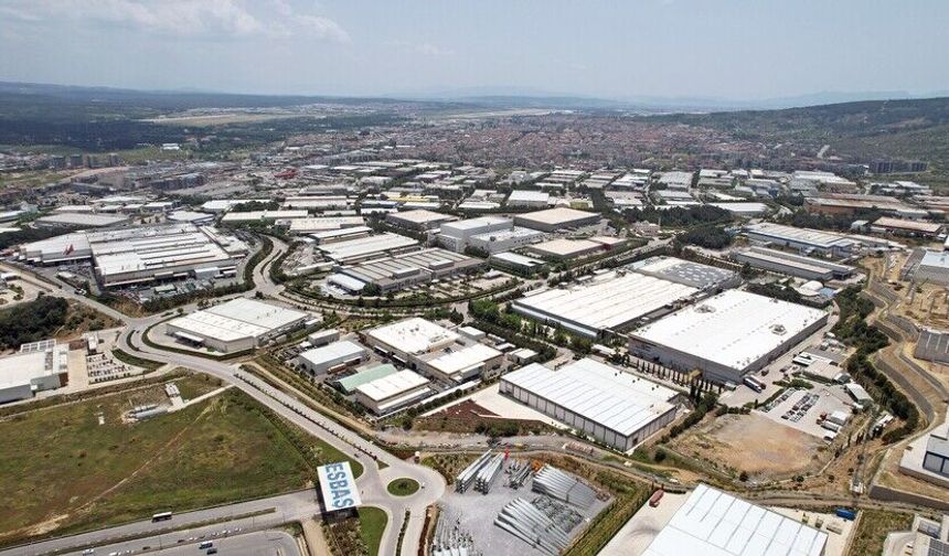 Serbest Bölgelerin 5 Aylık Ticareti 11,7 Milyar Doları Buldu