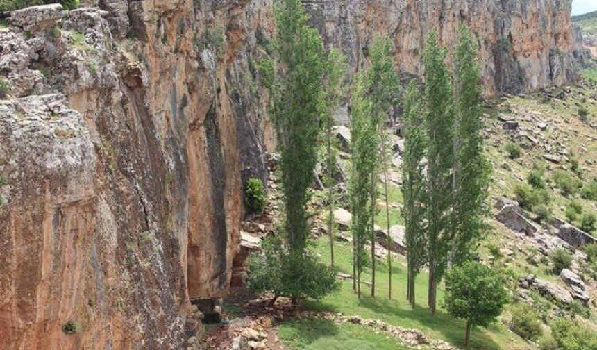 Gaziantep’in Oksijen Deposu: Sofdağı Yaylası