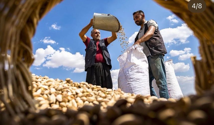 Gaziantep'i En Güzel Anlatan Kareler Yarışacak