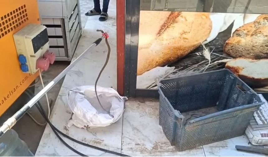 Sandığı açan gözlerine inanamadı