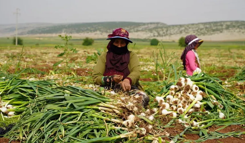 Gaziantep’in Tescilli Lezzeti Dünya Listesinde