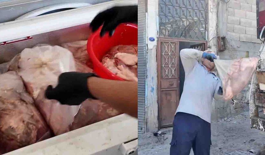 Zabıta Bastı, Gerçek Ortaya Çıktı