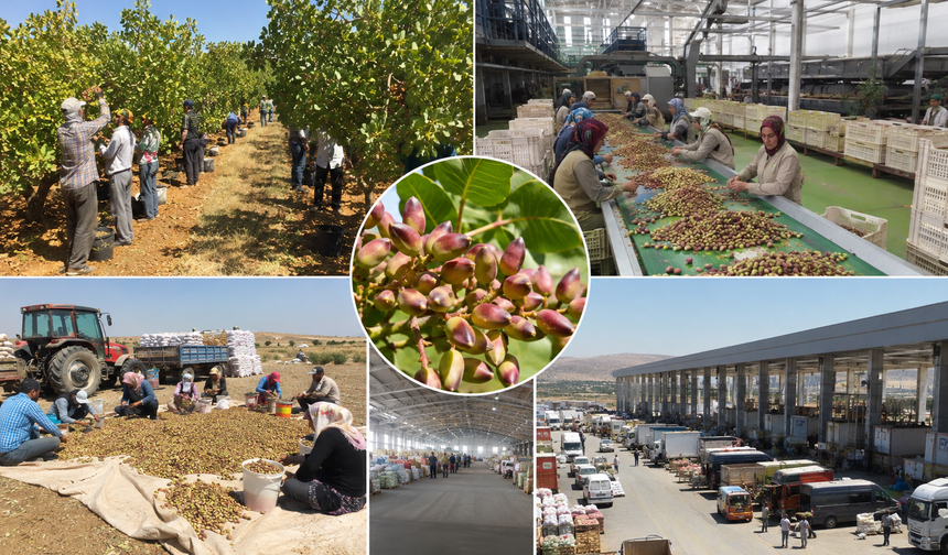 Şanlıurfa Üretiyor, Gaziantep Kazanıyor