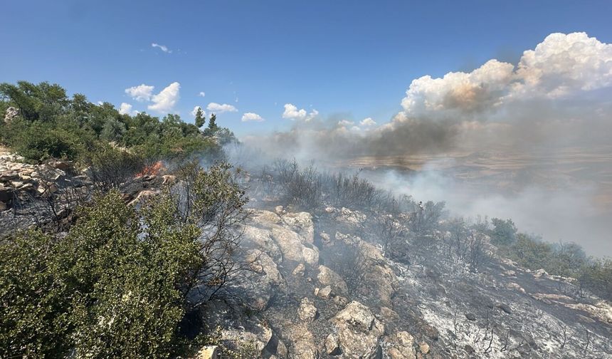Gaziantep'te Korkutan Orman Yangını