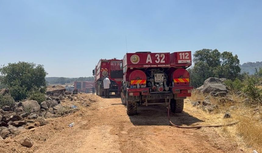 Gaziantep'te orman yangını kontrol altına alındı