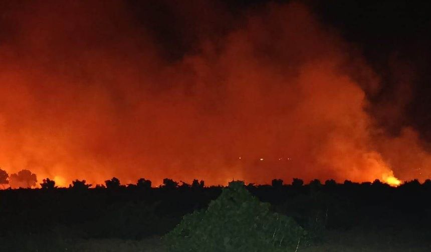 İslahiye'de Korkutan Anız Yangını