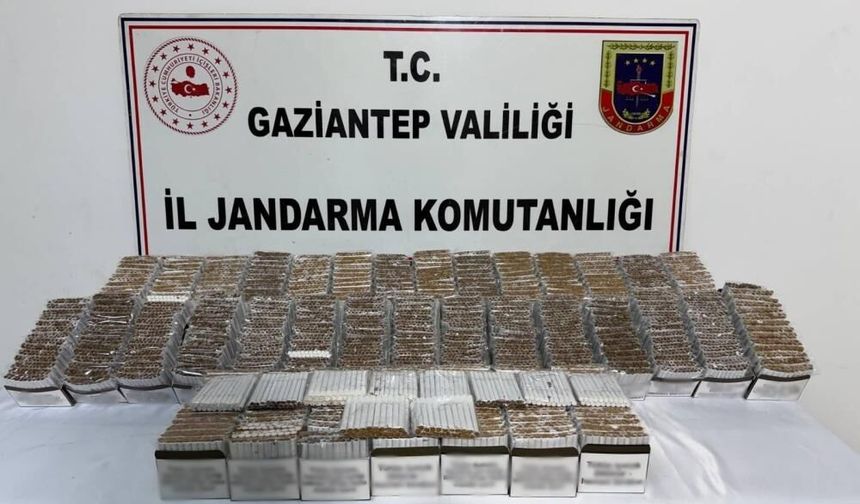 Jandarmadan suç örgütlerine darbe