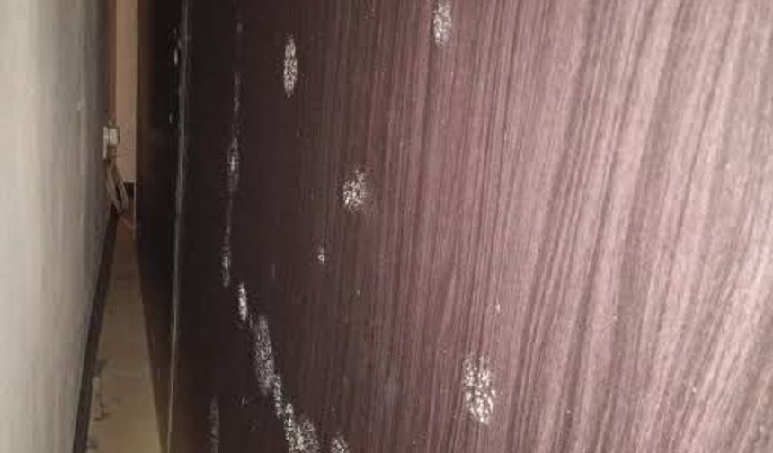 Gardırop Küfü Nasıl Önlenir? İşte Evdeki Pratik Çözüm