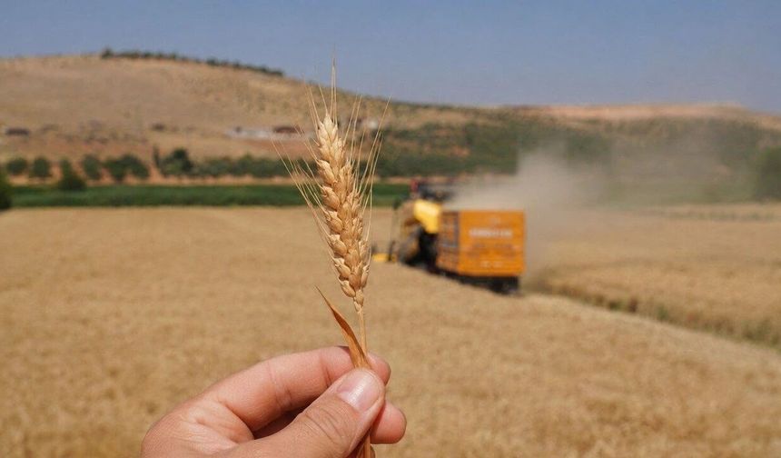 Oğuzeli’nin Tarım Karnesi Açıklandı