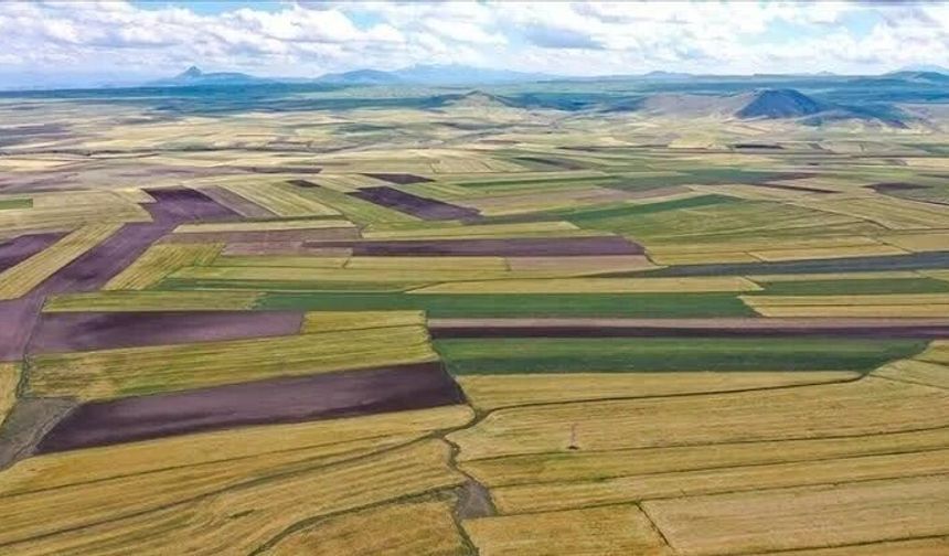 Gaziantep'te 300 Bin Liraya Arsa Fırsatı