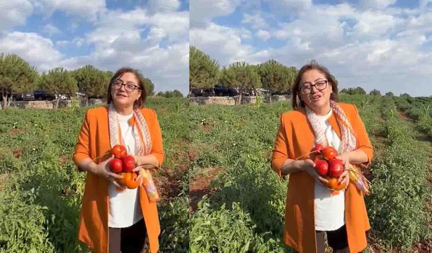 Bu toprakların kendi tohumu var