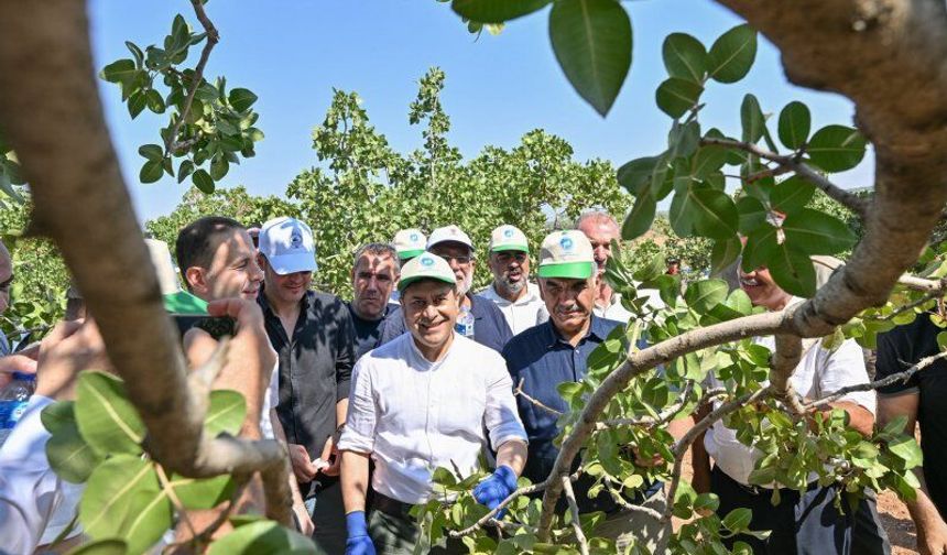 Şahin’den Fıstık Üreticisine Güvenlik Müjdesi
