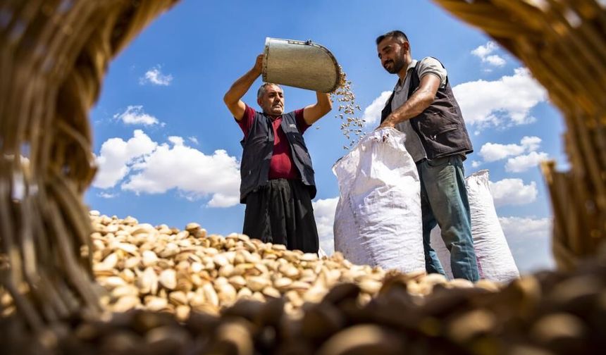 Gaziantep’in hikâyesi fotoğraf karelerine taşınıyor