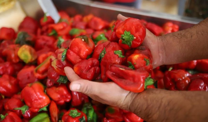Gaziantep’te salçanın kilosu dudak uçuklattı