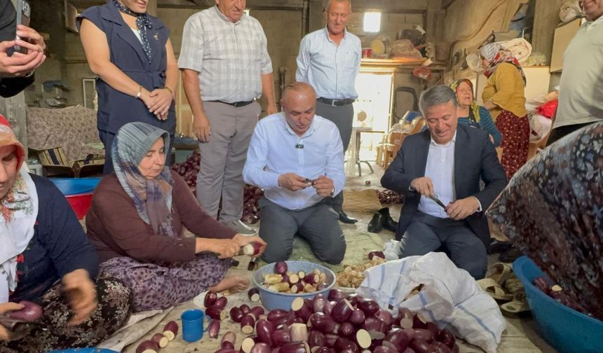 Gaziantep'te Kurutmalık Patlıcan Üretimi Krizde