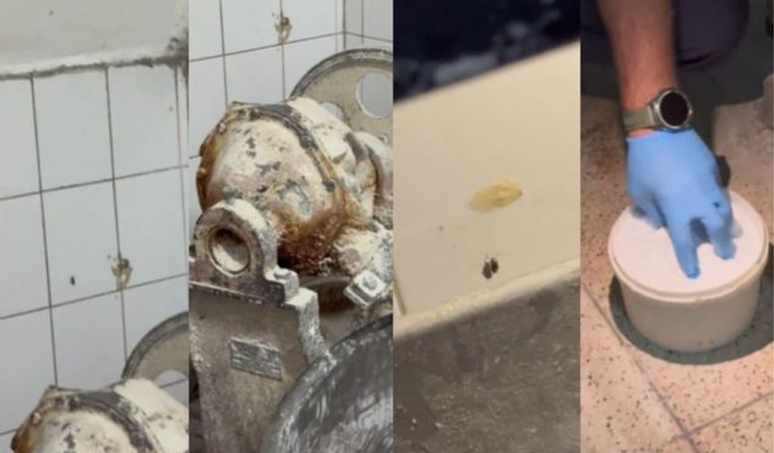 Gaziantep’te Fırından Böcek Çıktı: Savunması Pes Dedirtti