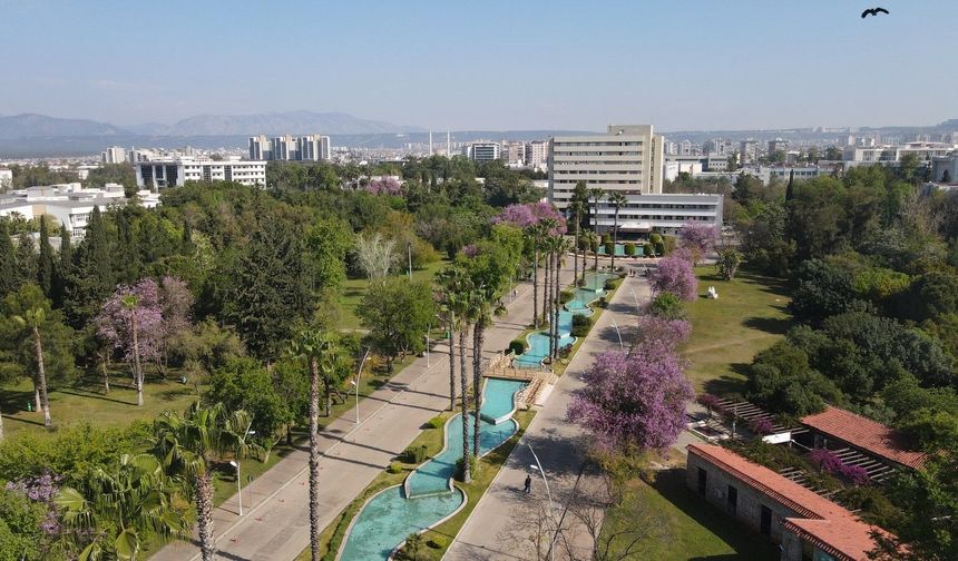 Gaziantep’te Hayata Geçirilen Proje Büyük Ödül Getirdi