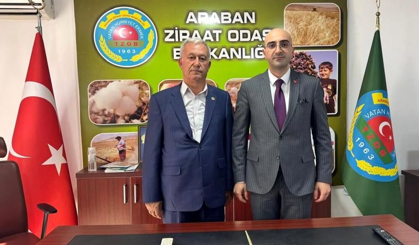 Araban Ovası'nın Tarım Potansiyeli Masada