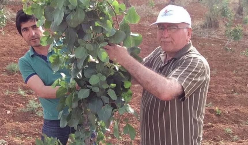 Esnafa sağlanan hak çiftçiye de verilsin