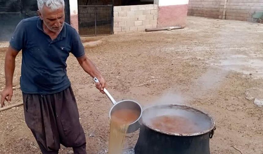 Gaziantep'te üzümler pekmeze dönüşüyor