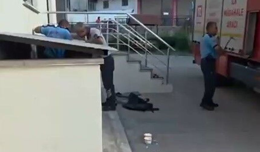 Gaziantep’te yürekleri ısıtan kedi kurtarma