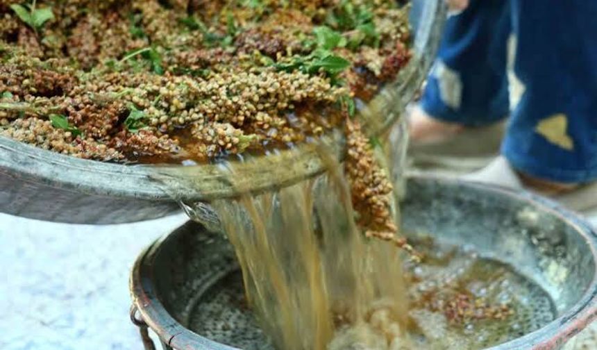 Sumak İçin Düğmeye Basıldı