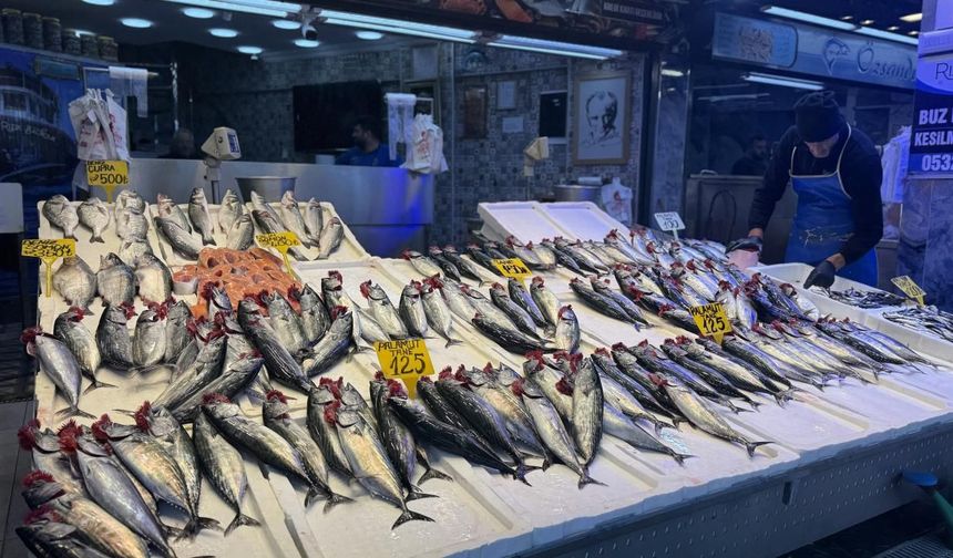 Gaziantep'te Tezgahların Kralı Palamut Oldu