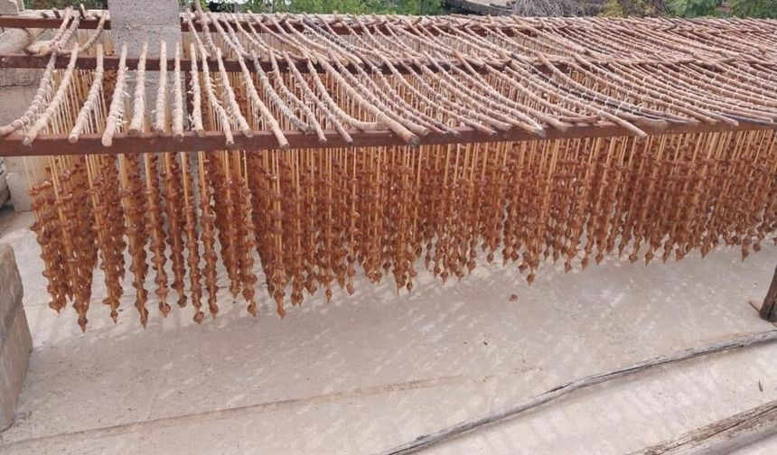 Gaziantep'te Organik Bastık Yapımı Başladı