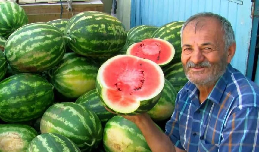 Gaziantep’te Güz Karpuzu Mesaisi Sürüyor