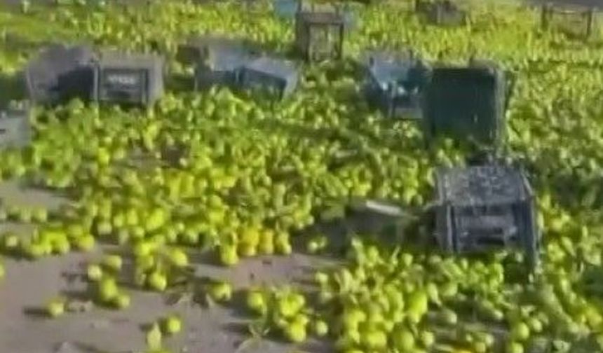 Nurdağı'nda Mandalina Yüklü Kamyon Devrildi
